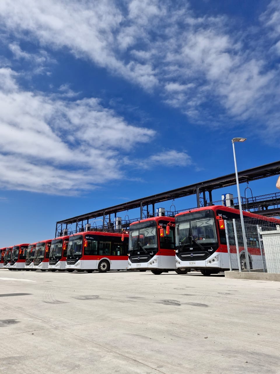 Foto de flota de buses
